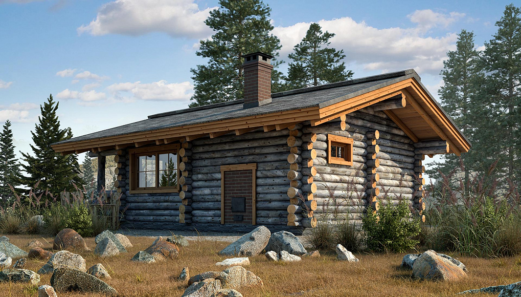 Фото дома-бани Смоленск