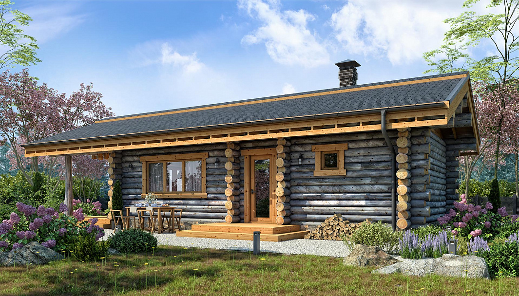 Фото дома-бани Одинцово