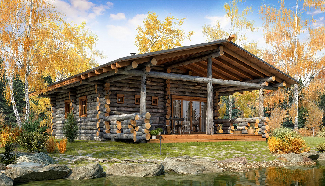 Фото дома-бани США