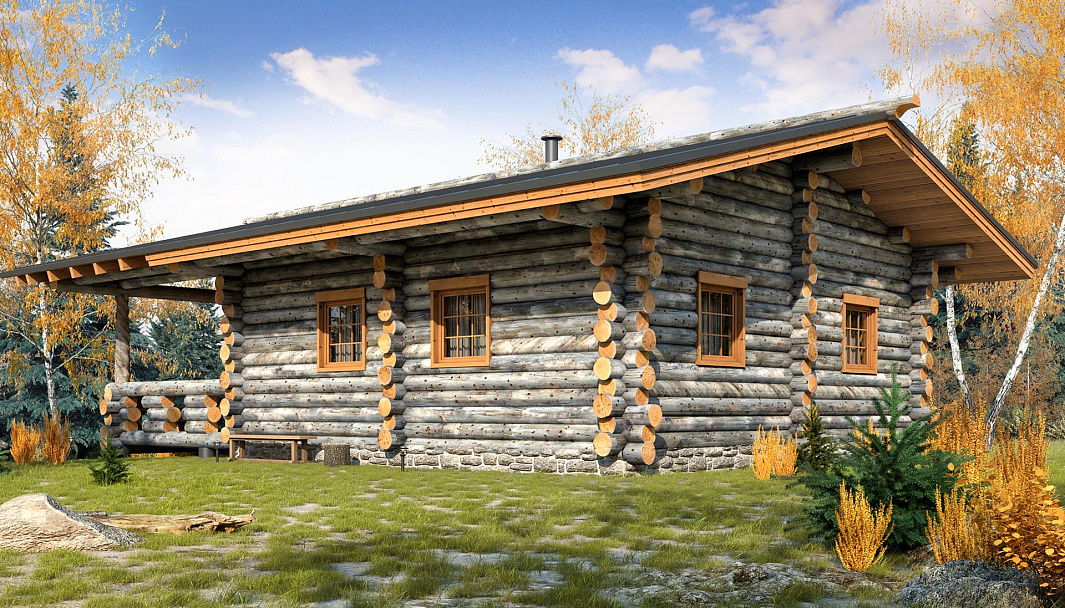 Фото дома-бани США