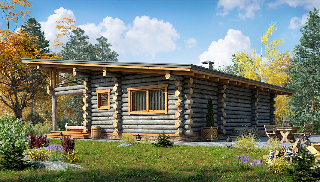 Фото дома-бани Завидово - 1