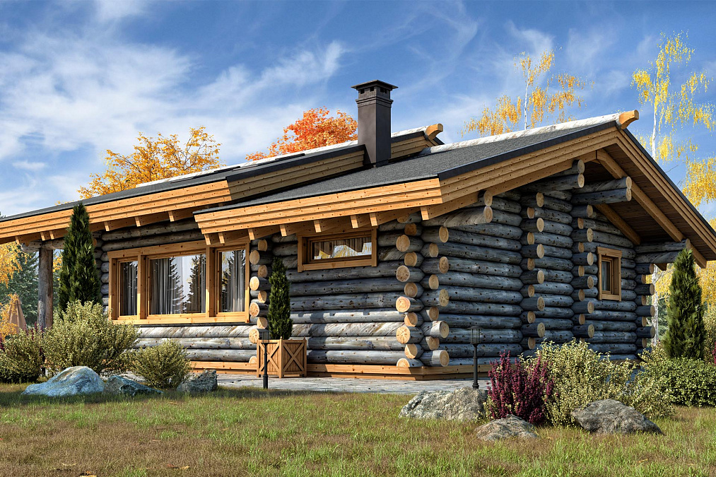 Фото бани Новая Рига