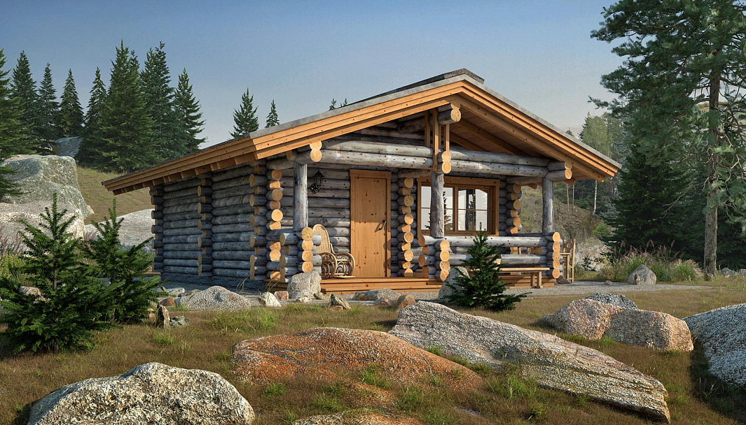 Фото дома-бани Смоленск